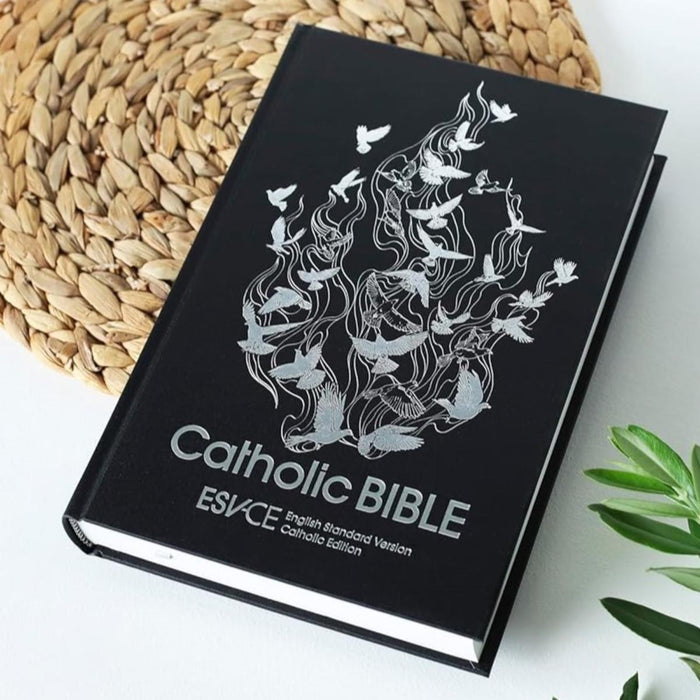 ESV-CE Catholic Bible - Anglicized British Text Hardback, Multi Buy Options Available