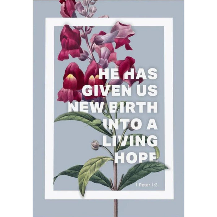 He Has Given Us New Birth Into A Living Hope - Unframed Poster Print, Available In Two Sizes - A4 and A3