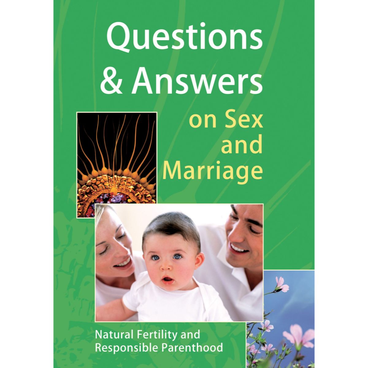 Questions & Answers about Sex and Marriage | Family & Relationships |  Bibles & Books | Pilgrim Shop Walsingham — Pilgrim Gifts