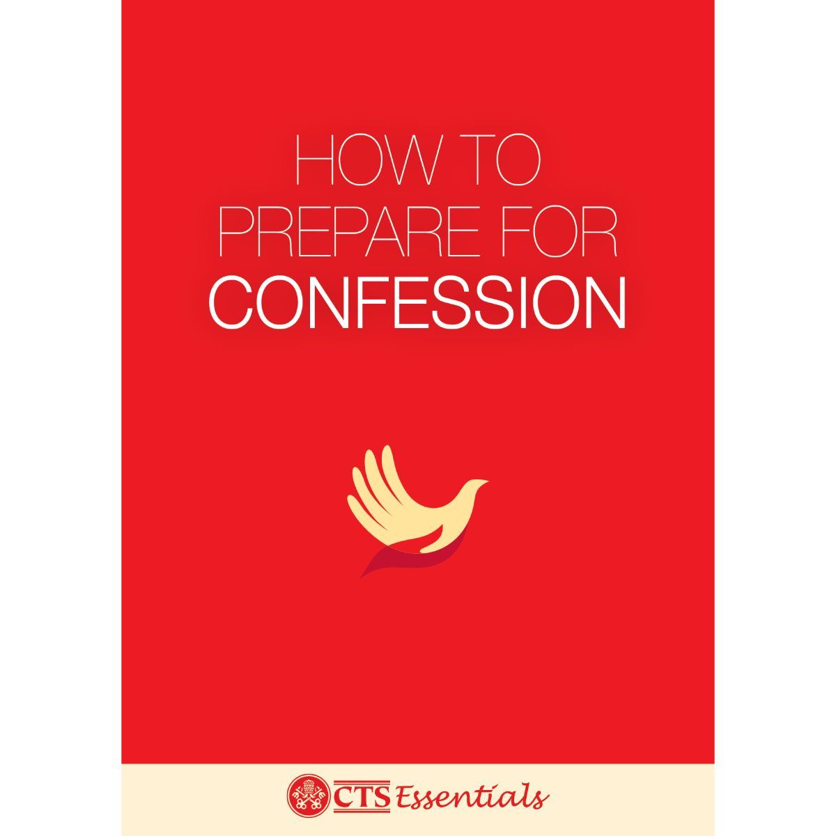 how-to-prepare-for-confession-pack-of-50-leaflets-by-fr-robert