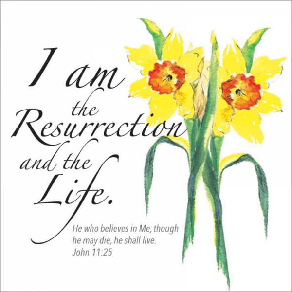 Easter Greetings Cards Pack of 5, I Am The Resurrection, With Bible Verse On the Inside John 3:16